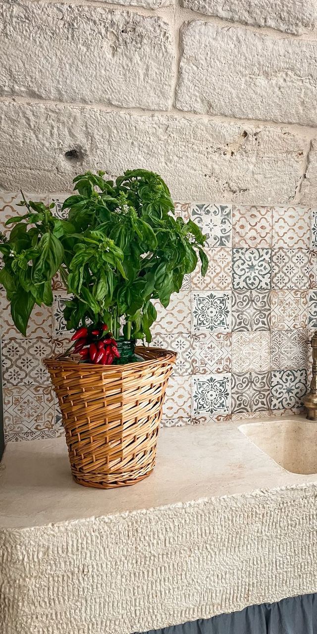 Piantina di basilico in cesto di vimini sul lavello in pietra, tra le cementine del Girasole