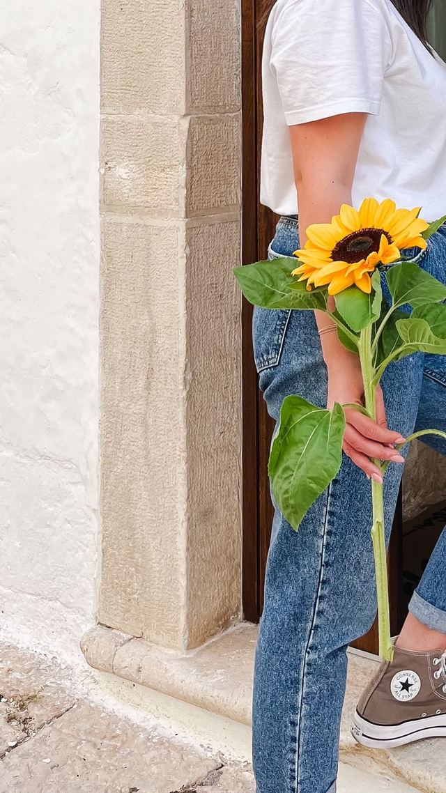 Un girasole appena colto sulla soglia in pietra dell'ingresso del Girasole