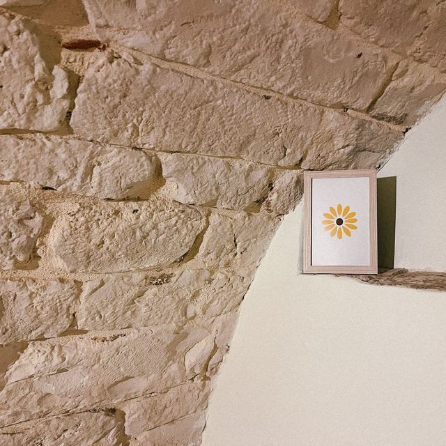 Dettaglio della volta in pietra a vista del Girasole con quadretto del girasole